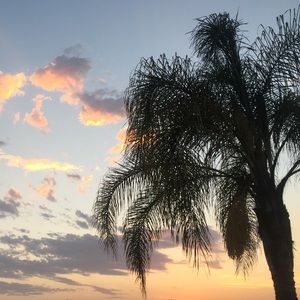 EXTRA SHIPPING LABEL